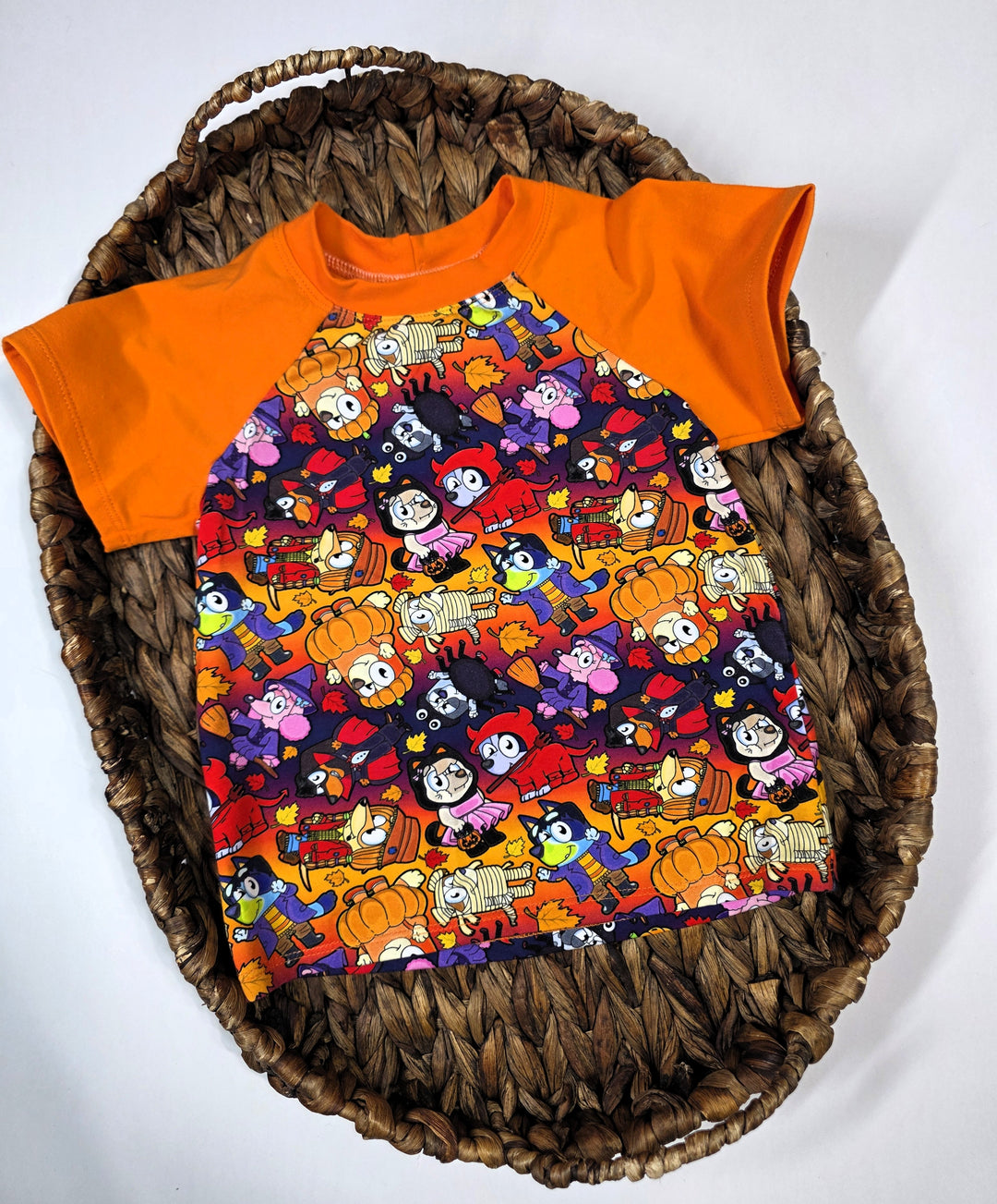 Bluey Costume Party Raglan Tee