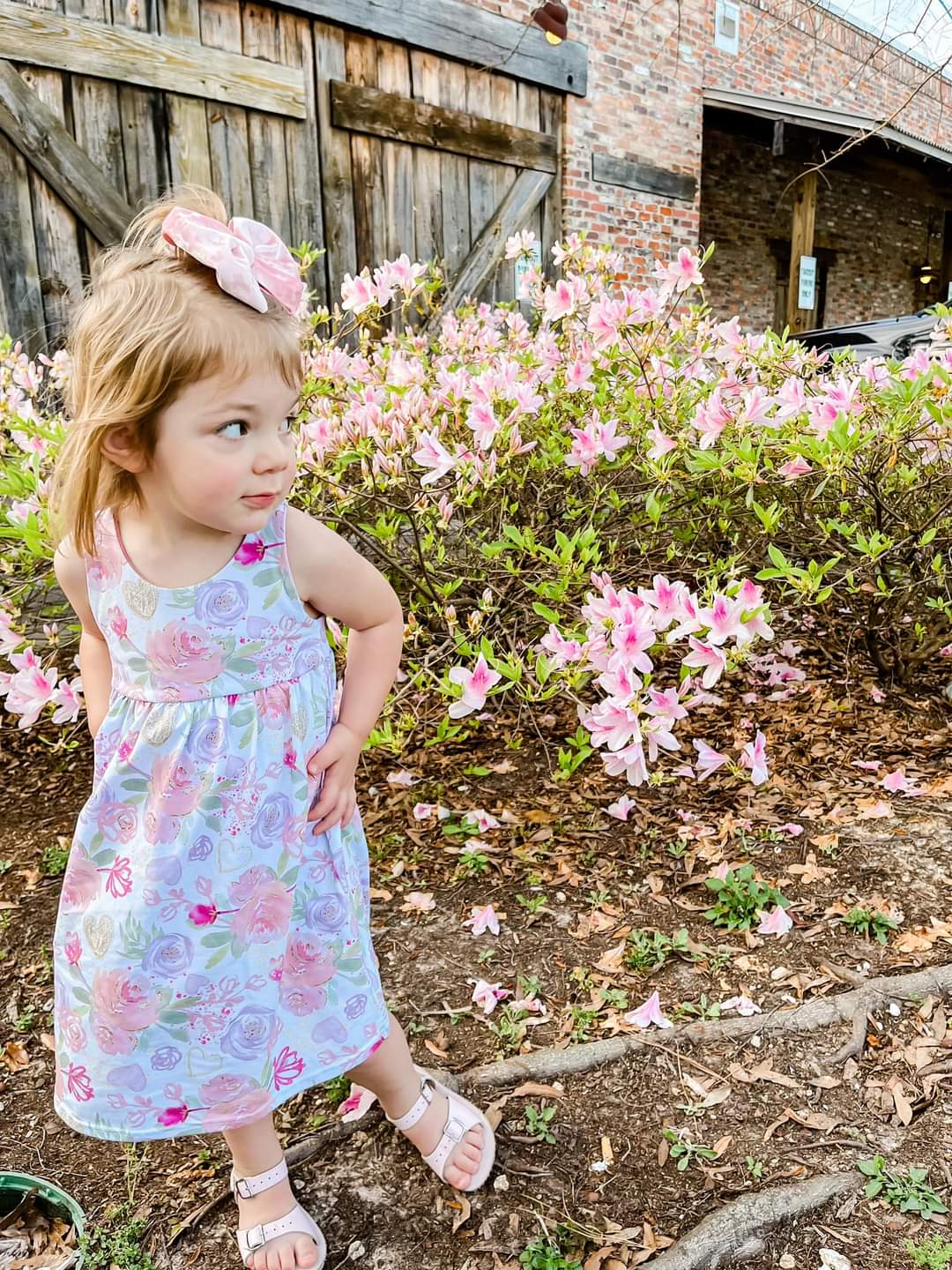 Summer Dreams Dress Preorder