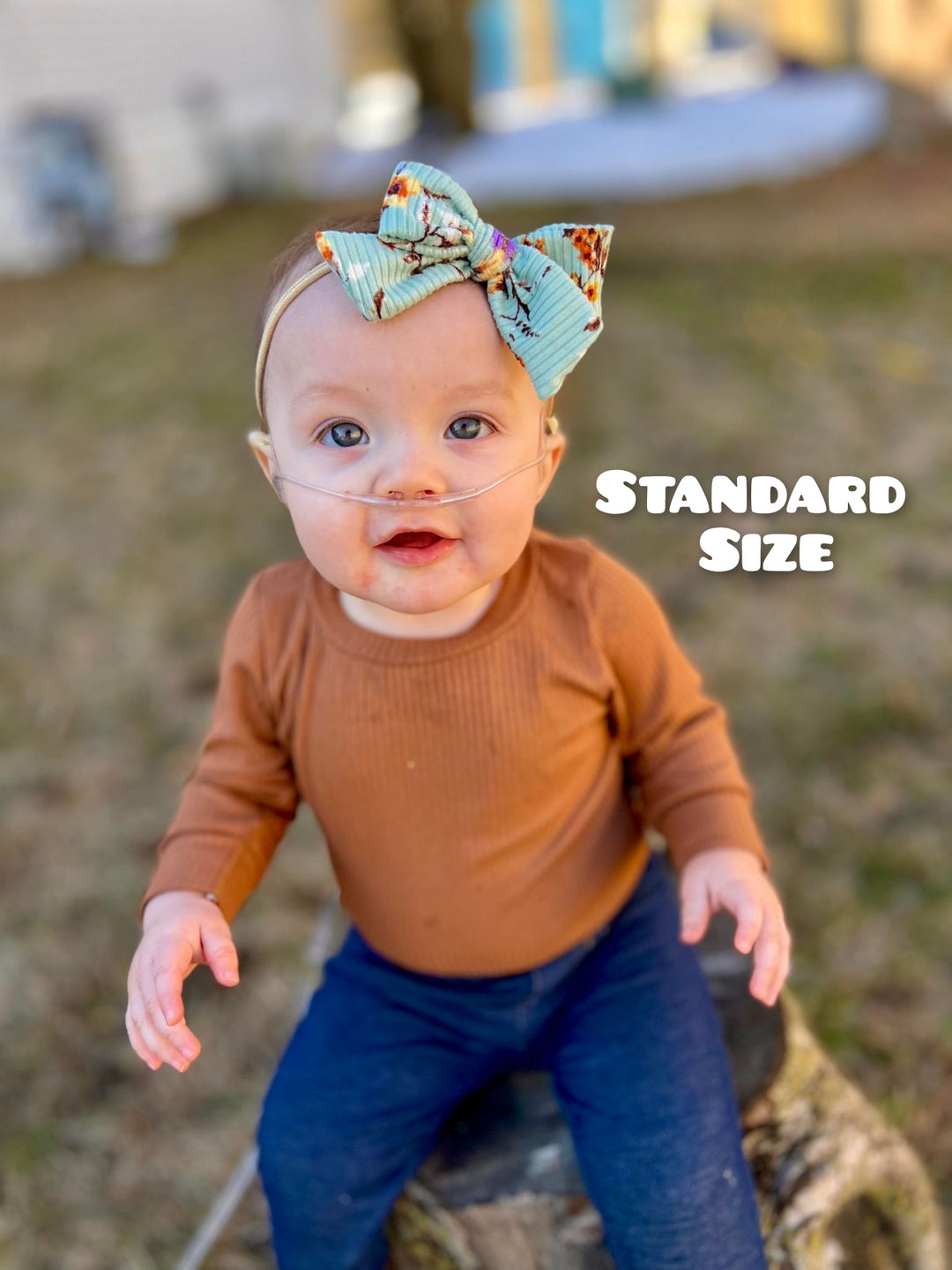 Dainty Bows Preorder