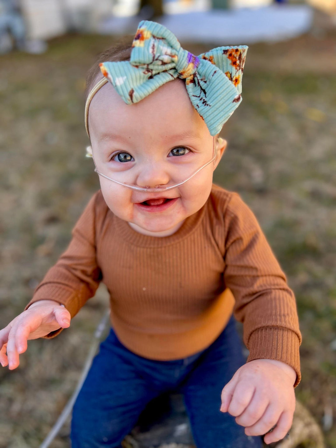 Dainty Bows Preorder